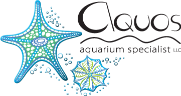 aquarium cleaning service
